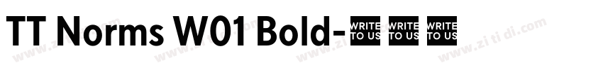 TT Norms W01 Bold字体转换 TT Norms W01 Bold字体转换